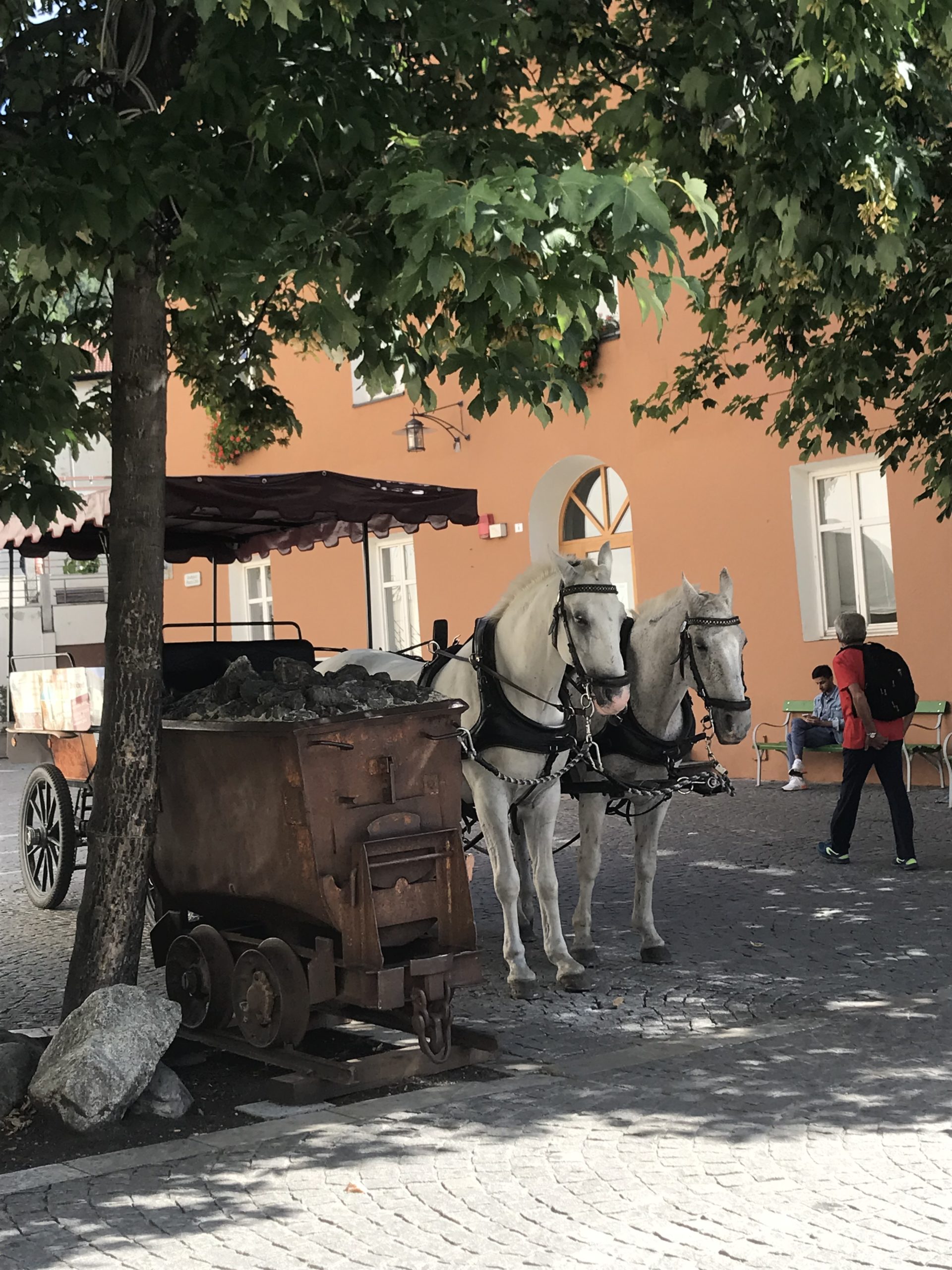 Eine Pferdekutsche vor dem Brunnen, die auf ihre Abfahrt wartet 