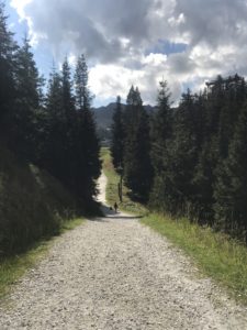 Ein ganz steiler Waldweg