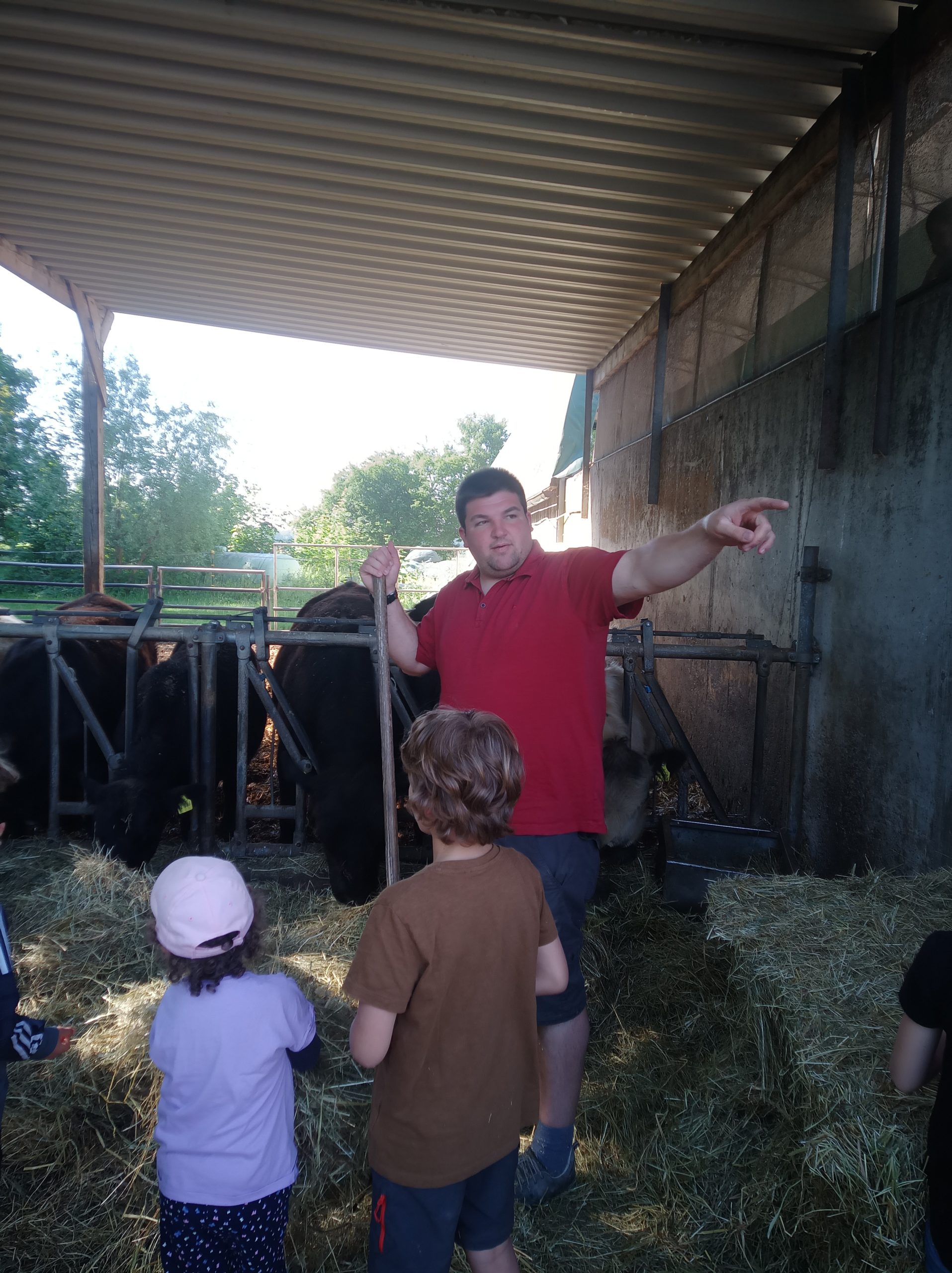 Bauer Martin erklärt den Kindern etwas bei der Tierfütterung